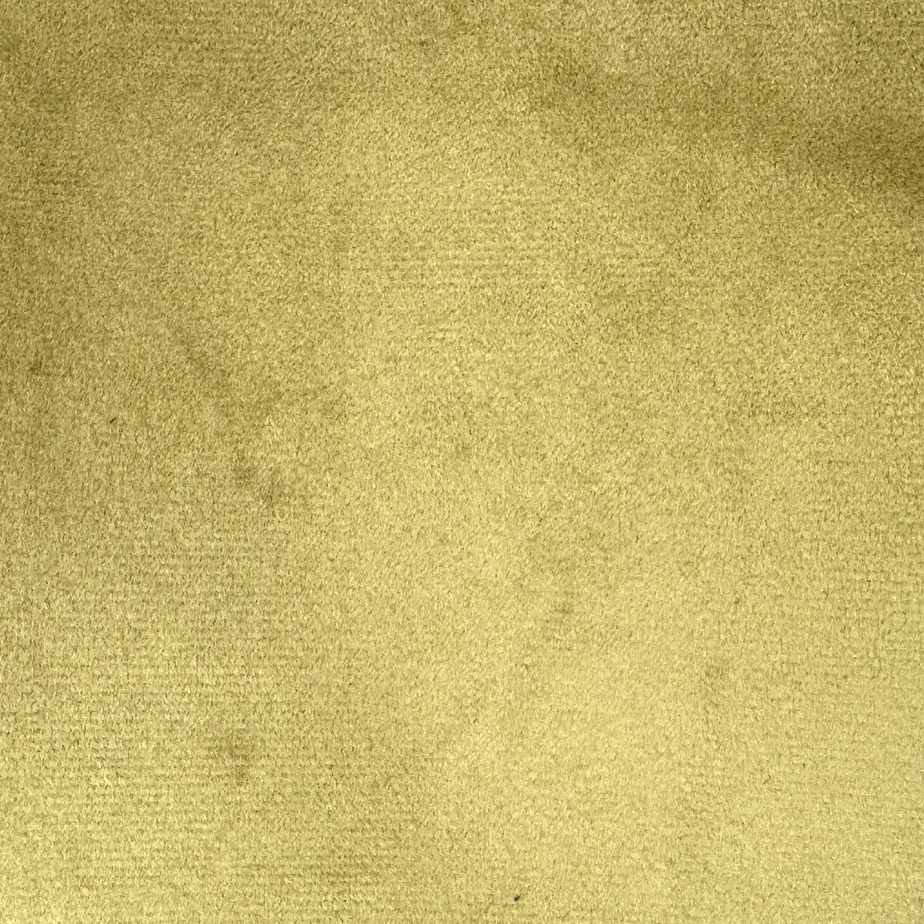 Plush Velvet fabric sample swatch in Olive