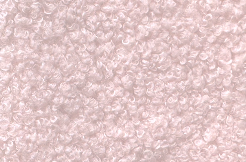 Teddy Bouclé fabric sample swatch in Pink