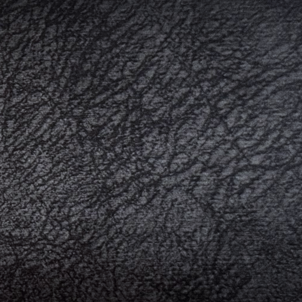 Dapple — Black