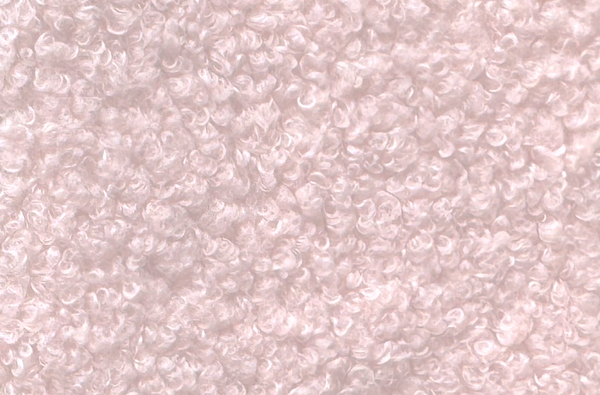 Teddy Bouclé fabric swatch in Pink